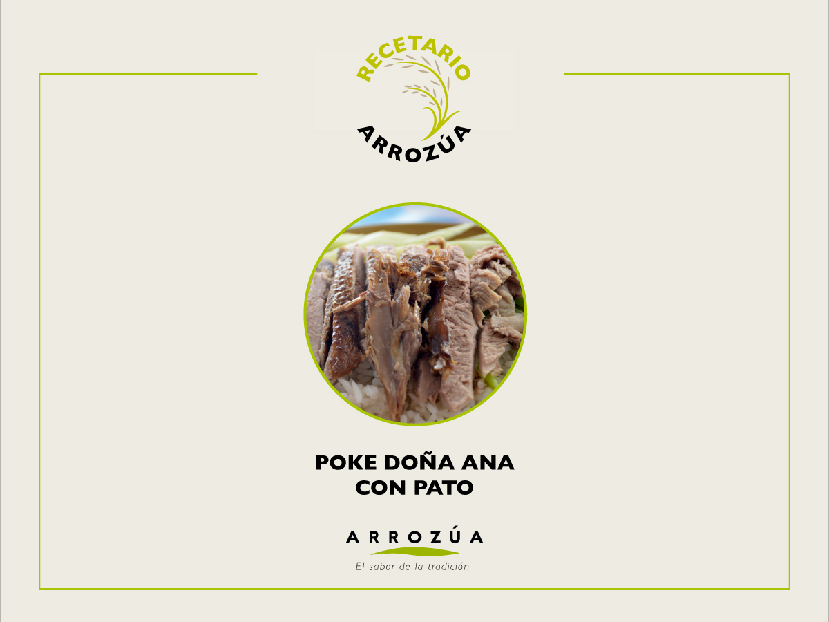 FB-1 Recetario de arroz