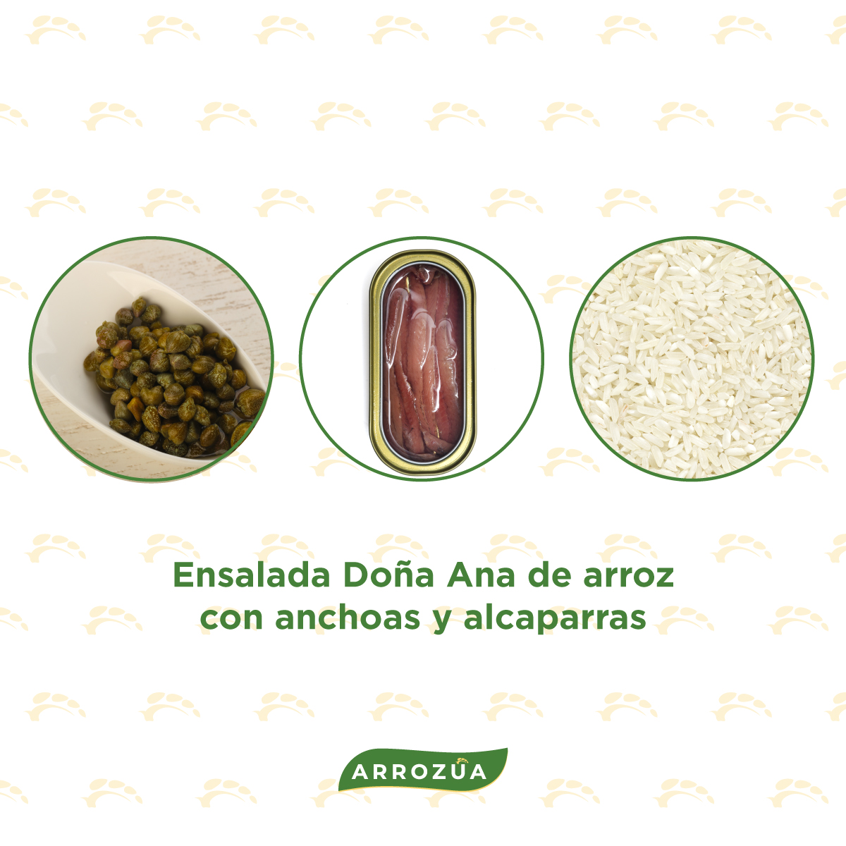 IG2 Recetario de arroz