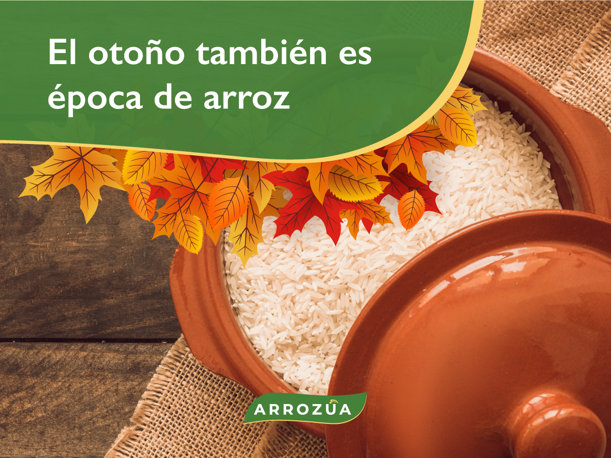 FB-1 Recetario de arroz